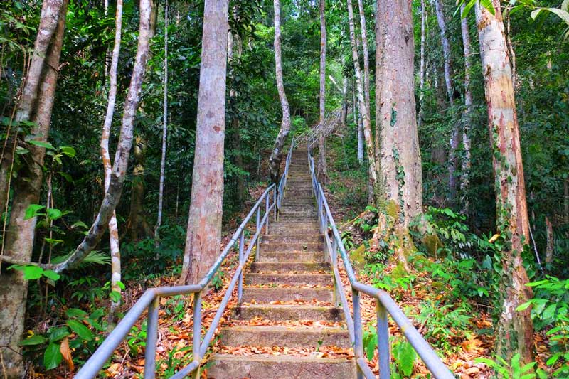Núi Gunung Raya(Gunung Raya Langkawi)